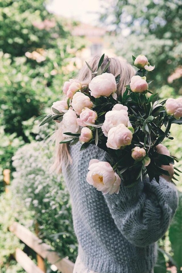 цветок красивый