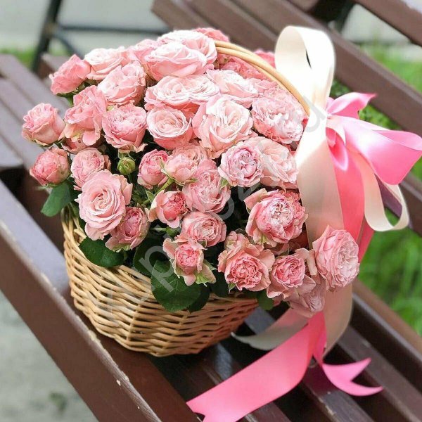 пионовидная кустовая роза