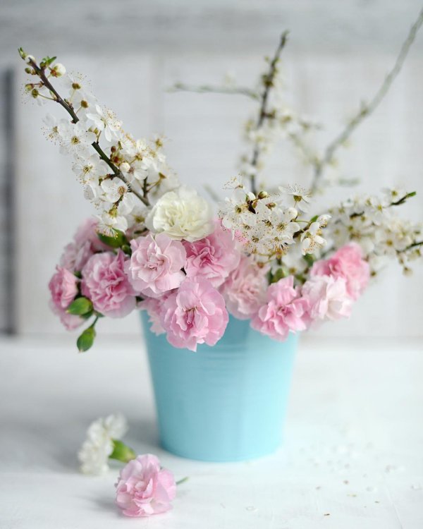 цветы нежно