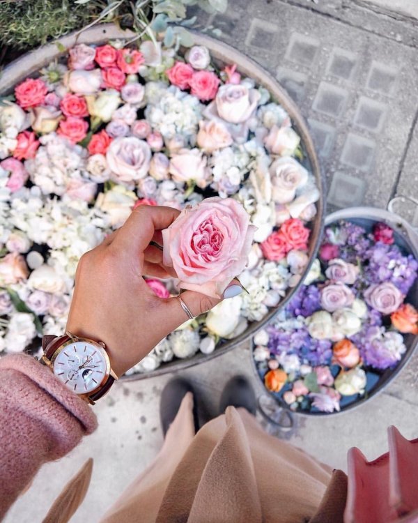 цветы инстаграм