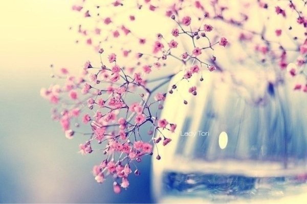 весенняя нежность