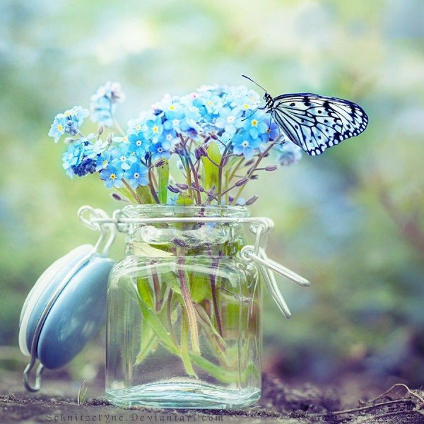 прекрасные мгновения жизни