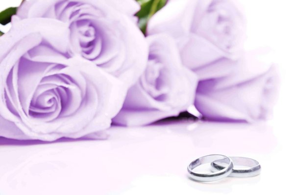 сиреневая роза