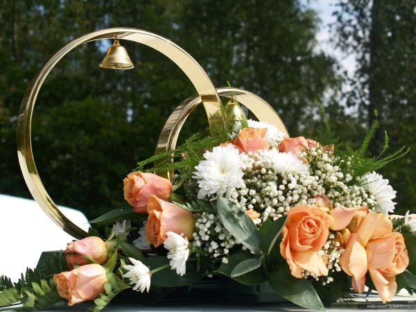 кольца на машину