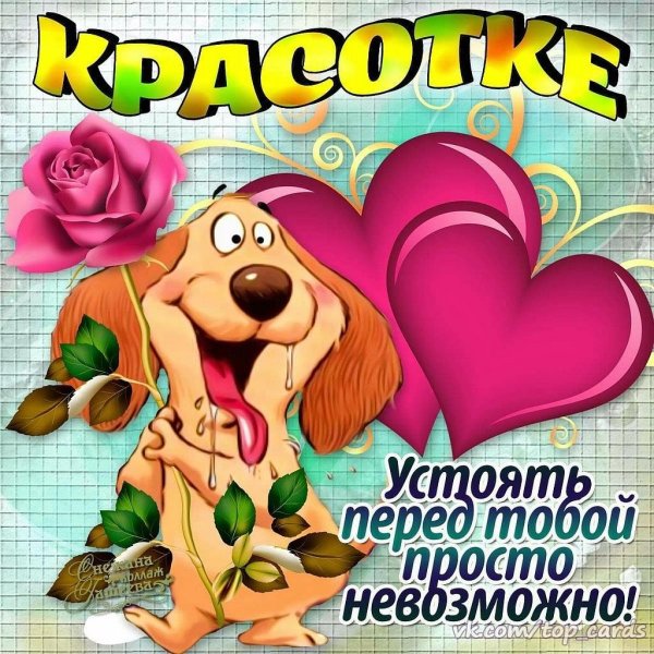 прикольные открытки девушке