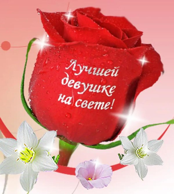 цветы для любимой девушки