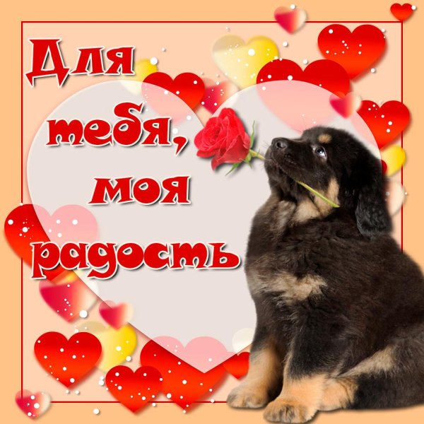 моей любимой девушке