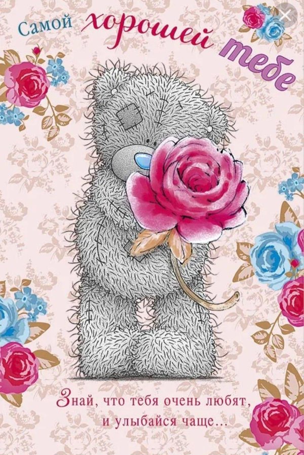 мишка тедди