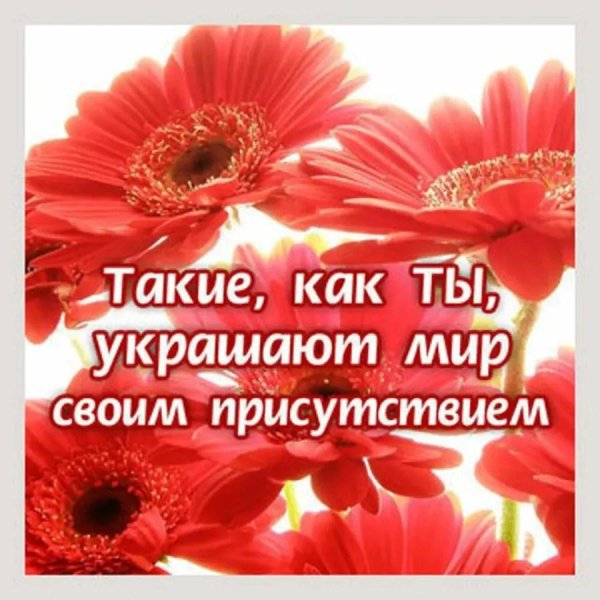 такие как ты украшают мир