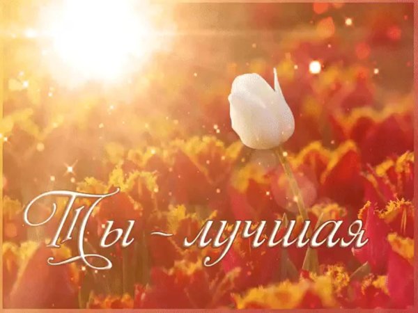 это счастье