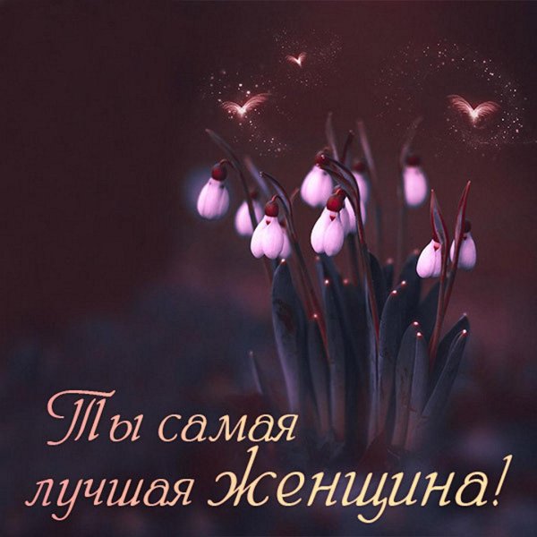 красивые подснежники