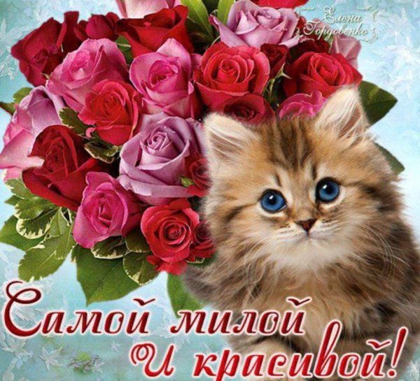 открытки с котятами