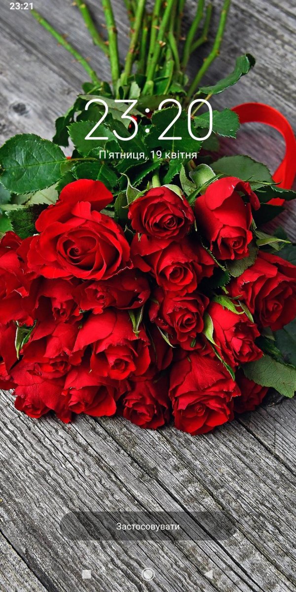 красивые букет роз