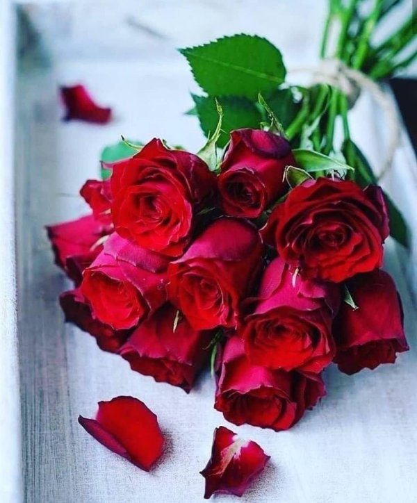 букет алых роз