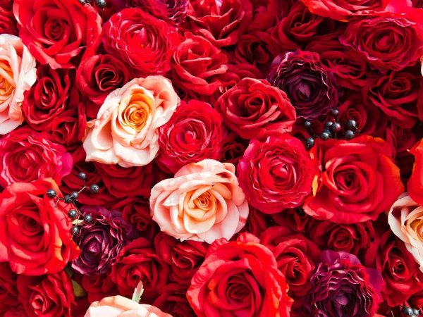 фон цветочный