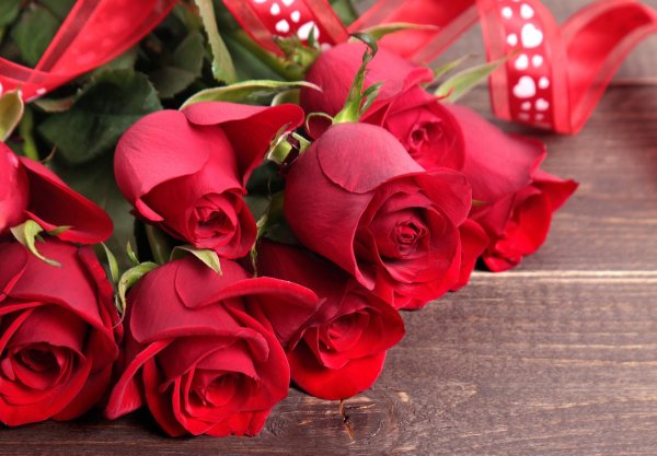 розы красивые