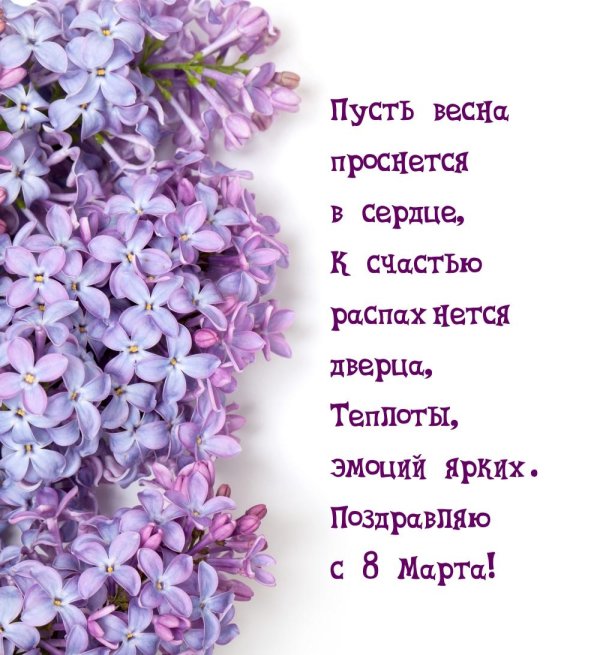 сирень цветки