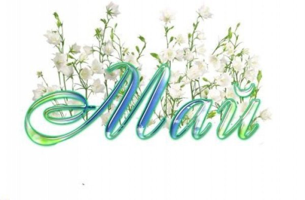 1 мая день весны и труда