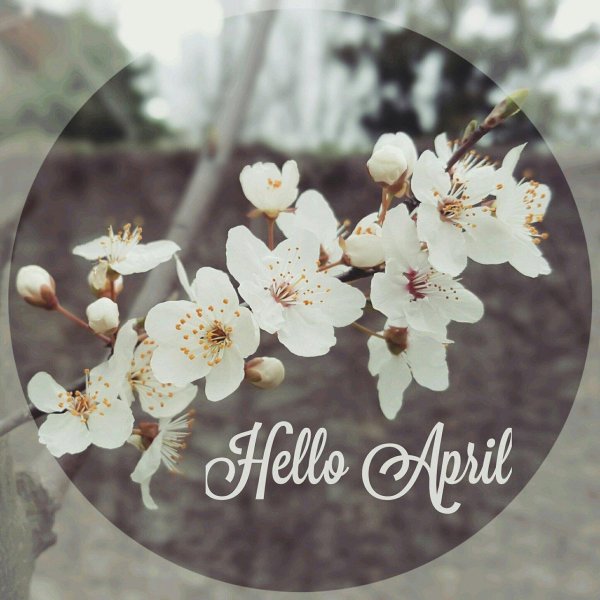 здравствуй апрель