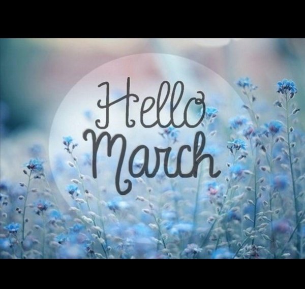 хелло март