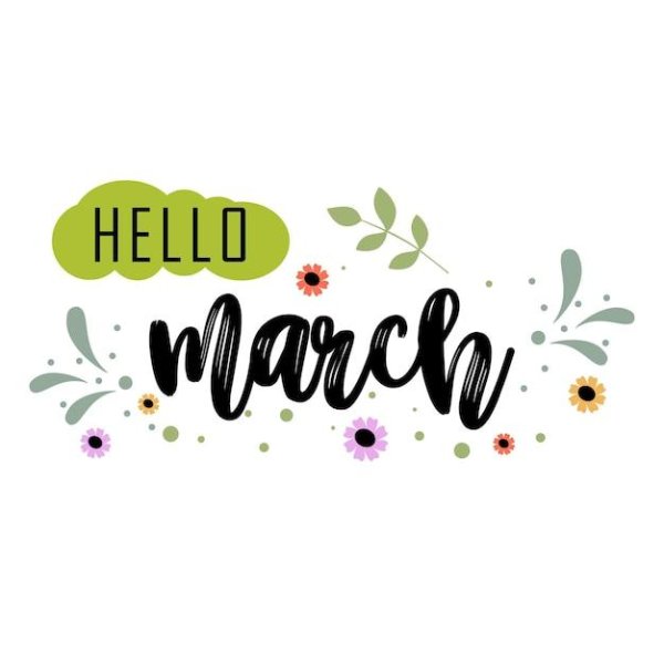 леттеринг логотип