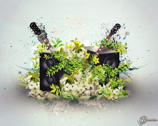 креативные цветы