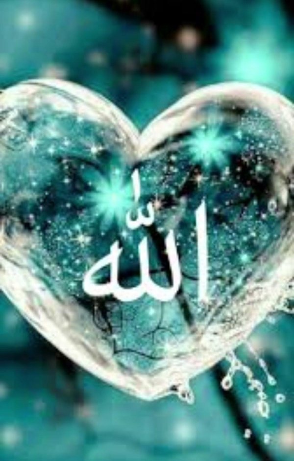 мусульманское сердце
