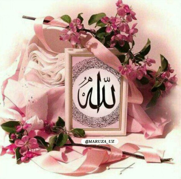 амин шулай булсын