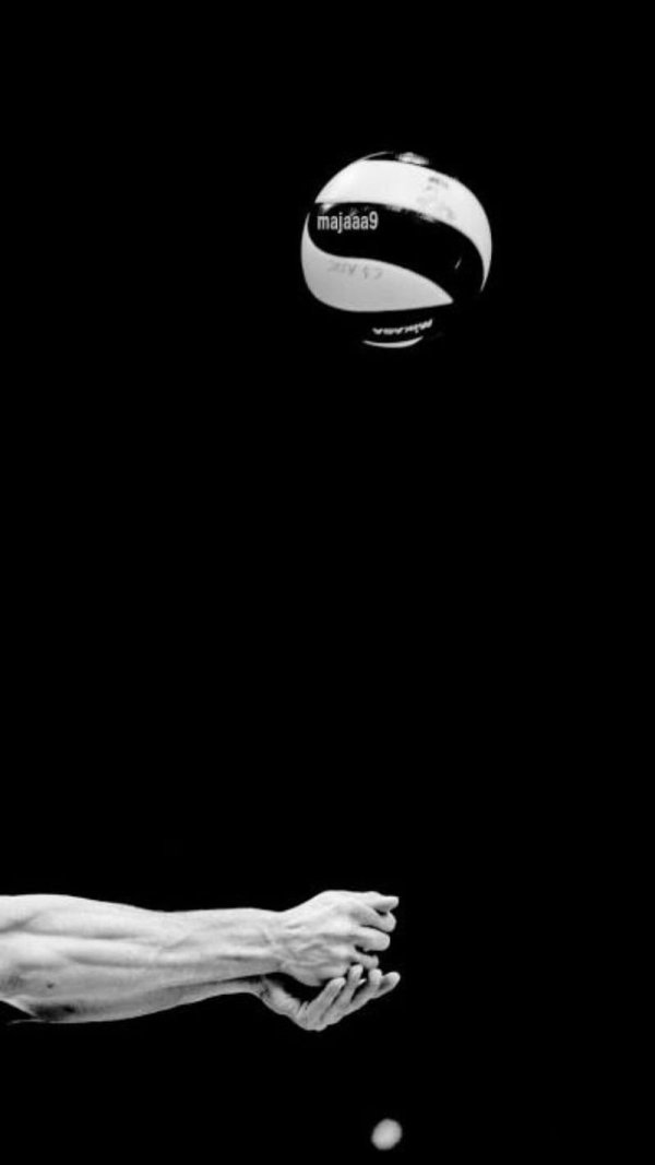 волейбольные мячи