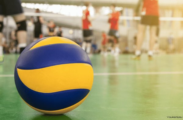 турнир по волейболу