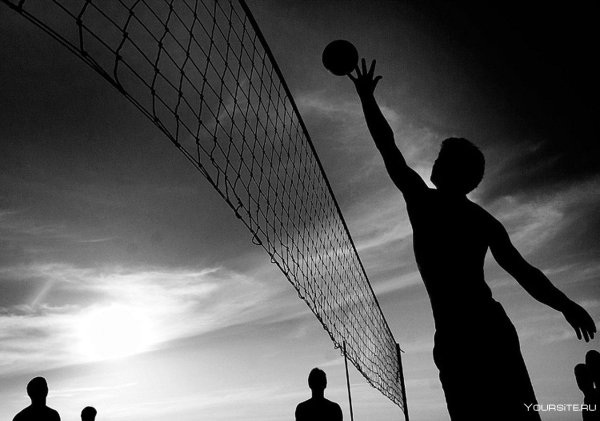 про волейбол