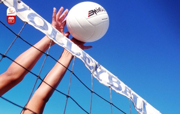 сетка волейбольная