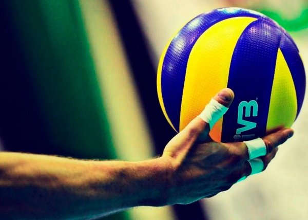 федерация волейбола