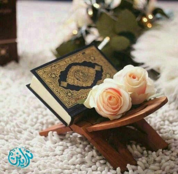 мусульманская девушка