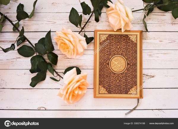 мусульманские цветы