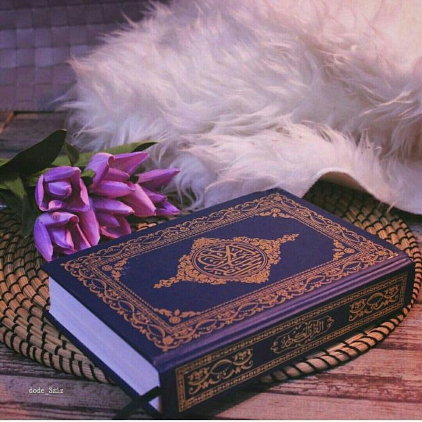 красивый коран