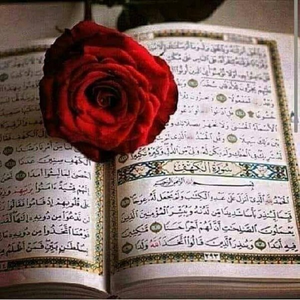 коран с цветами