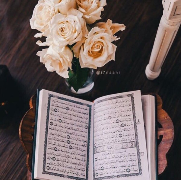 куран карим