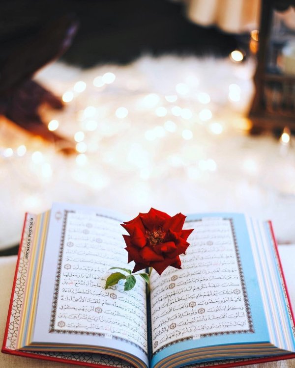 коран с цветами