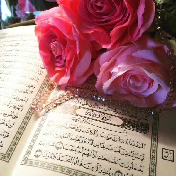 красивые нашиды