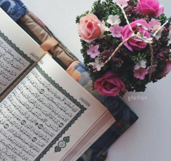 дневник мусульманки