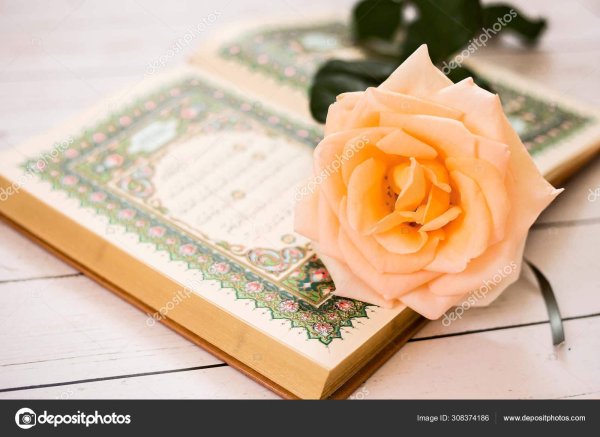 мусульманские цветы