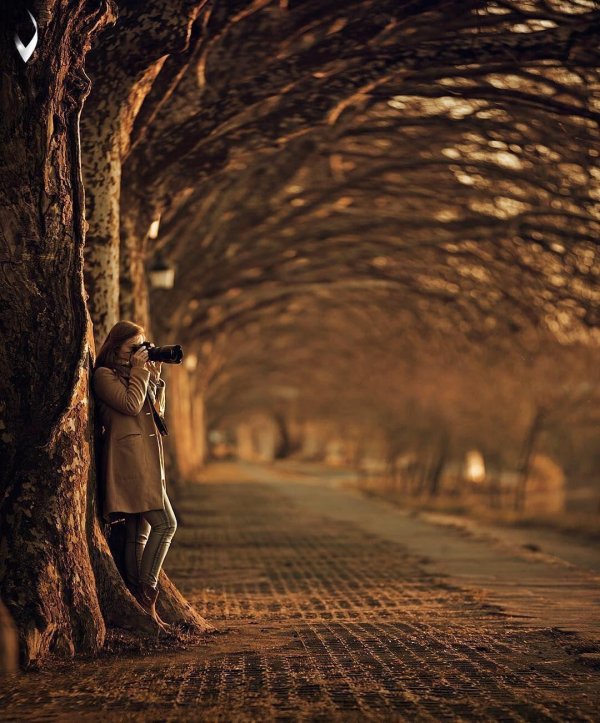 луис валадарес