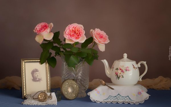 фотонатюрморты тельновой елены