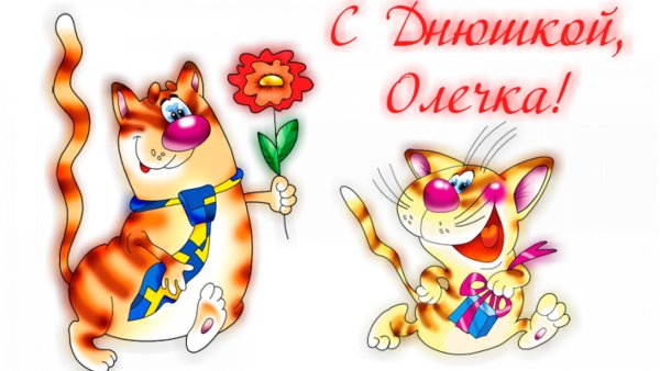 день рождения прикольные поздравления