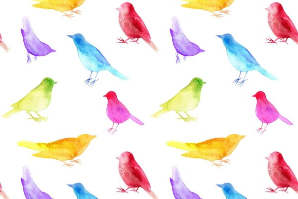 цветные птички