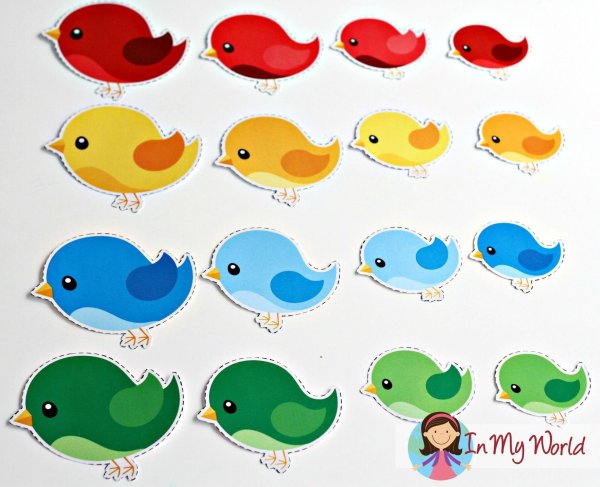 цветные птички