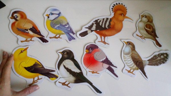 набор пазлов дрофамедиа дсм птицы