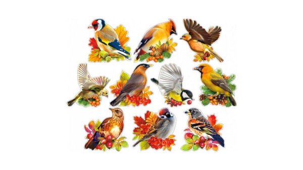 украшение на скотче птицы