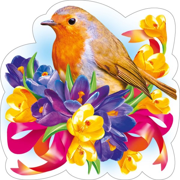 открытки с птичками